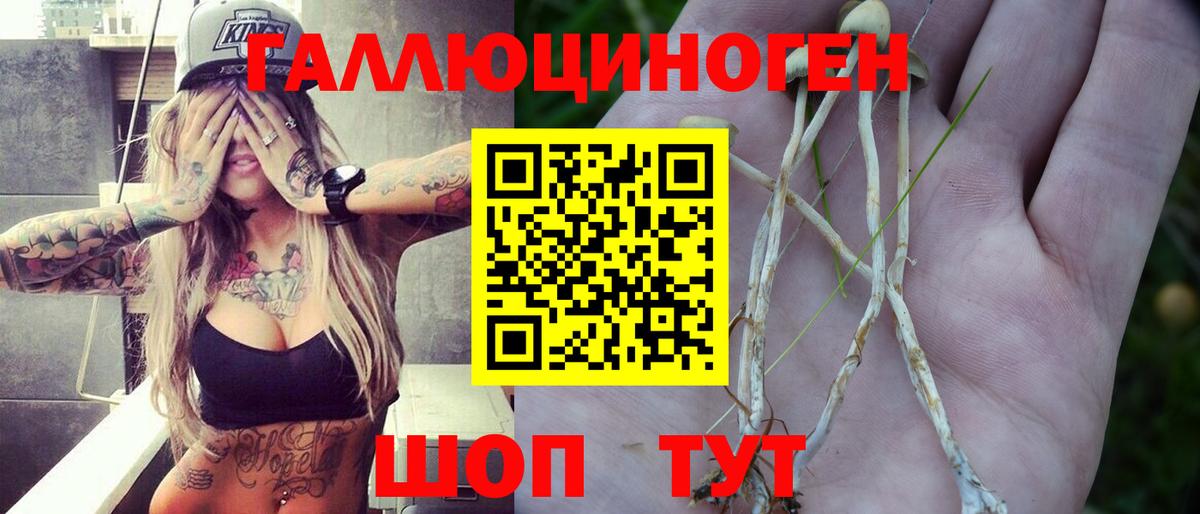 Учалы  Галлюциногенные грибы Psilocybe  где можно купить наркотик  Вход с VPN 